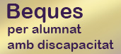 Beques per alumnes amb discapacitat